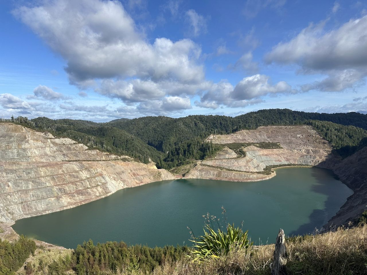 Riding the Globe Hill Track, Reefton by E-Bike – Tracey Giles