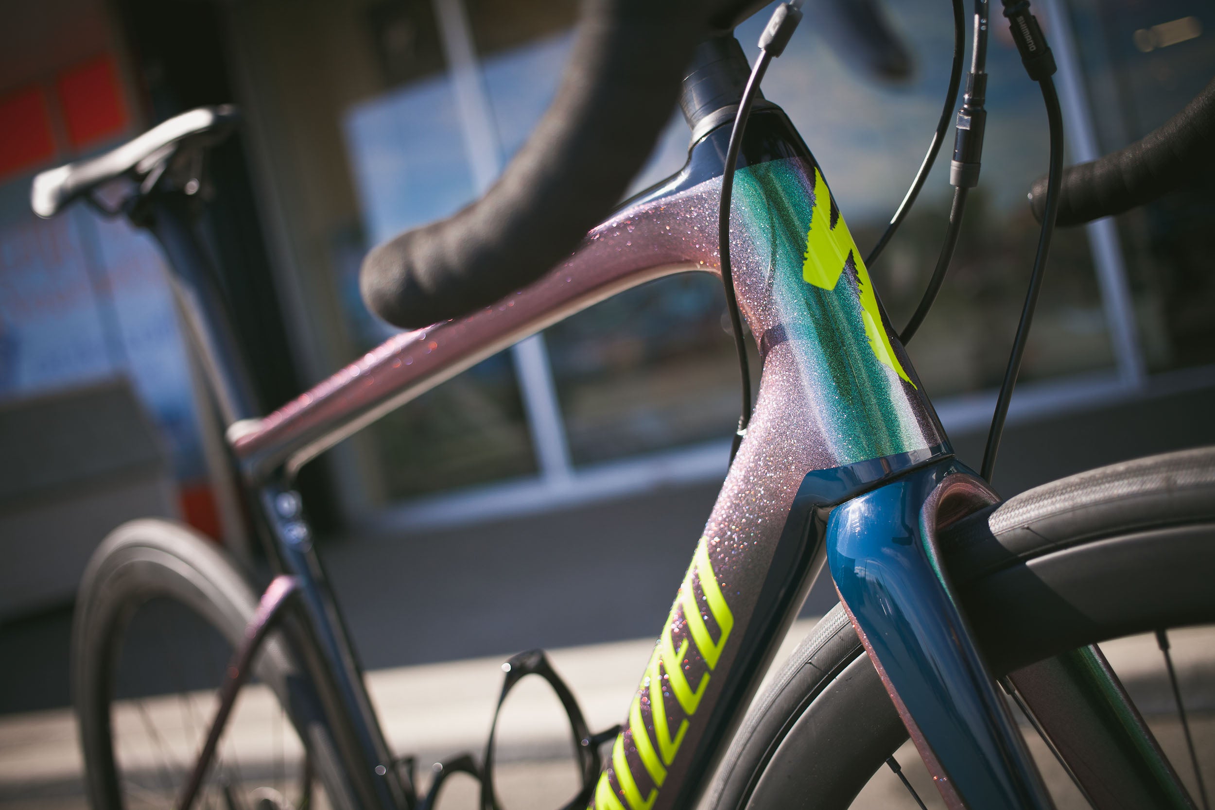 tarmac expert disc 2019