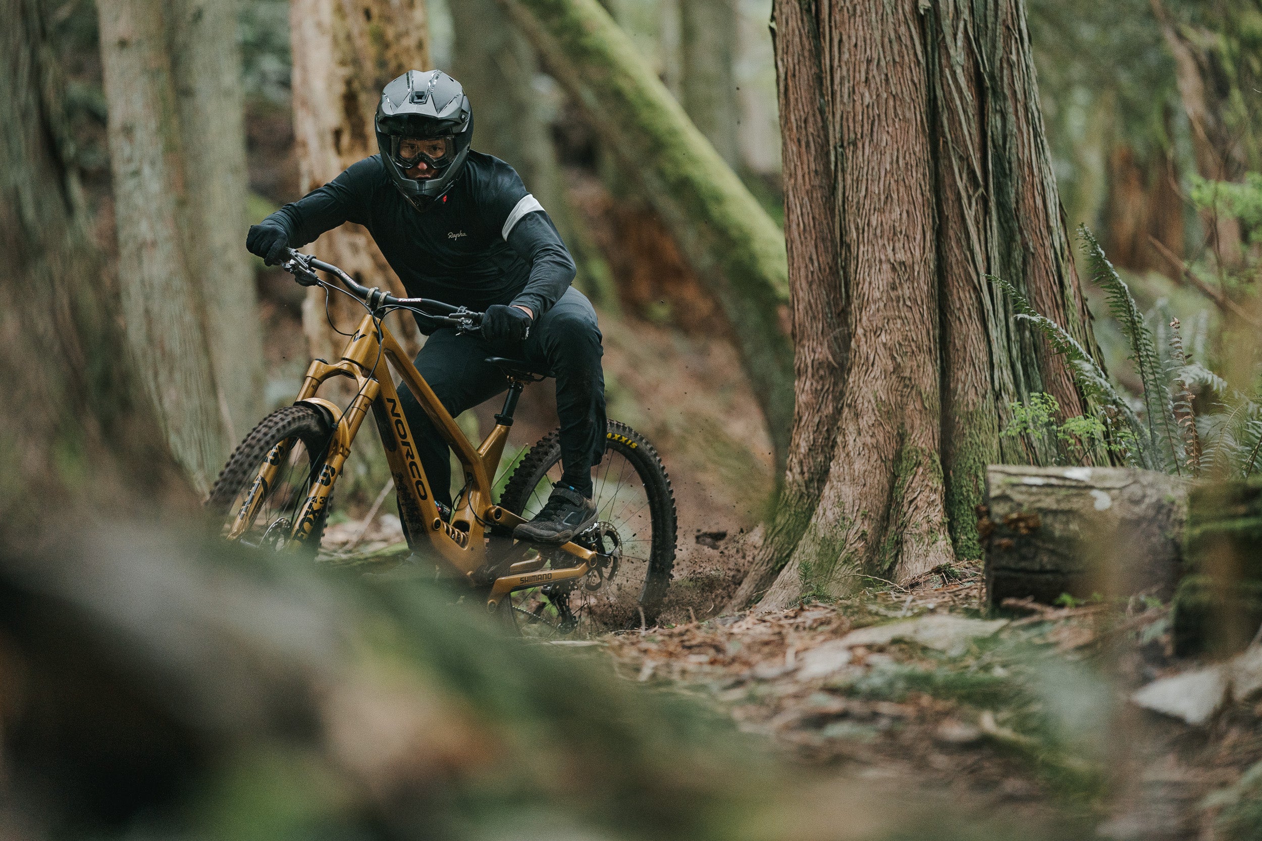 Norco Bikes