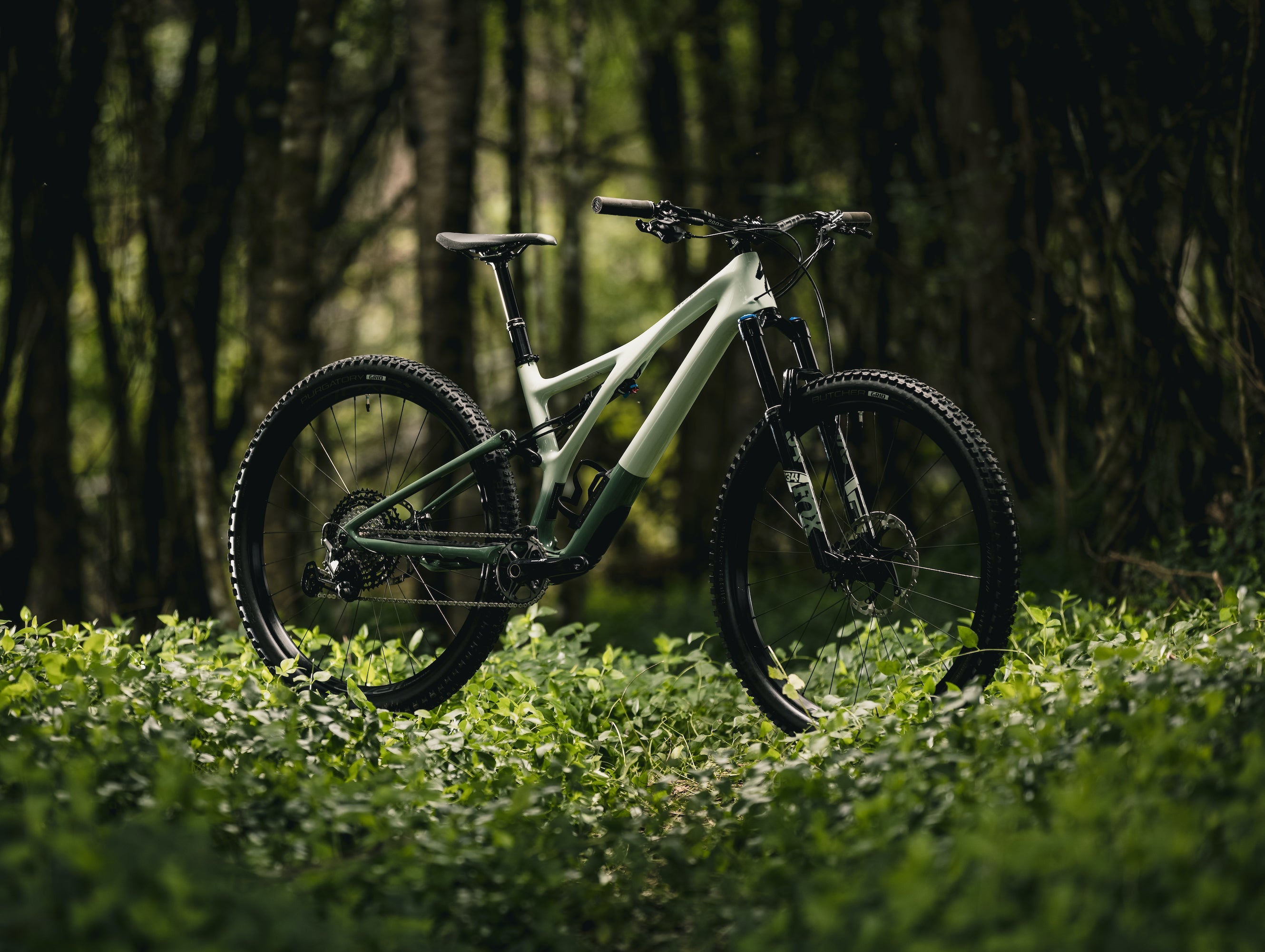 Stumpjumper