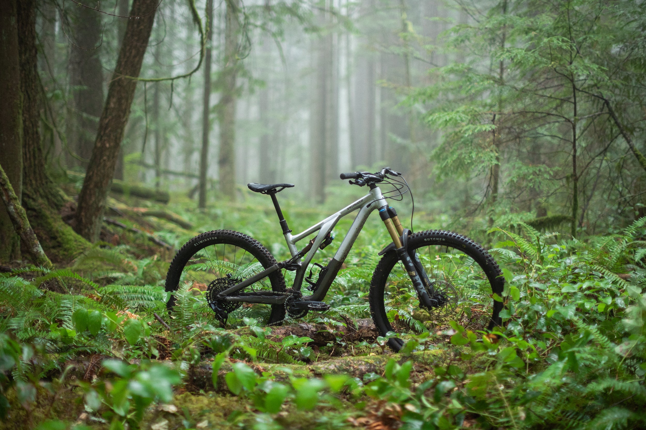 stumpjumper evo 29