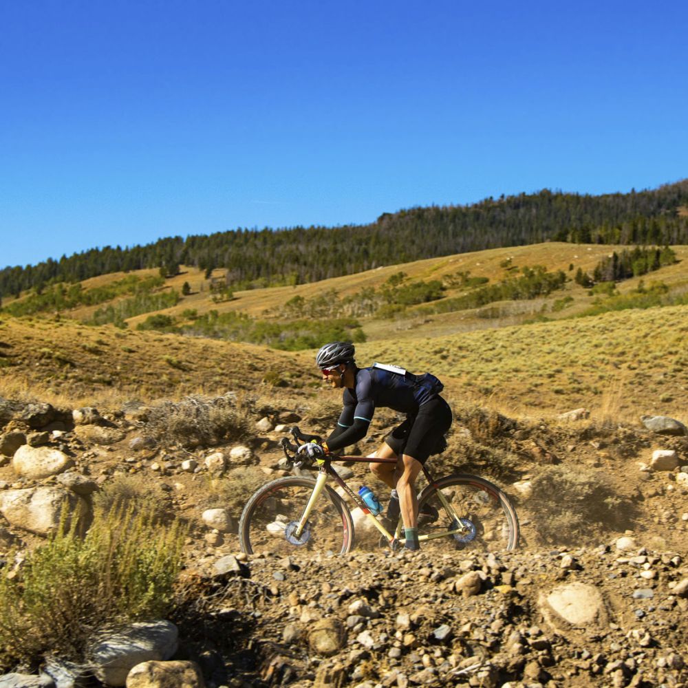 Enve G Series Gravel Fork