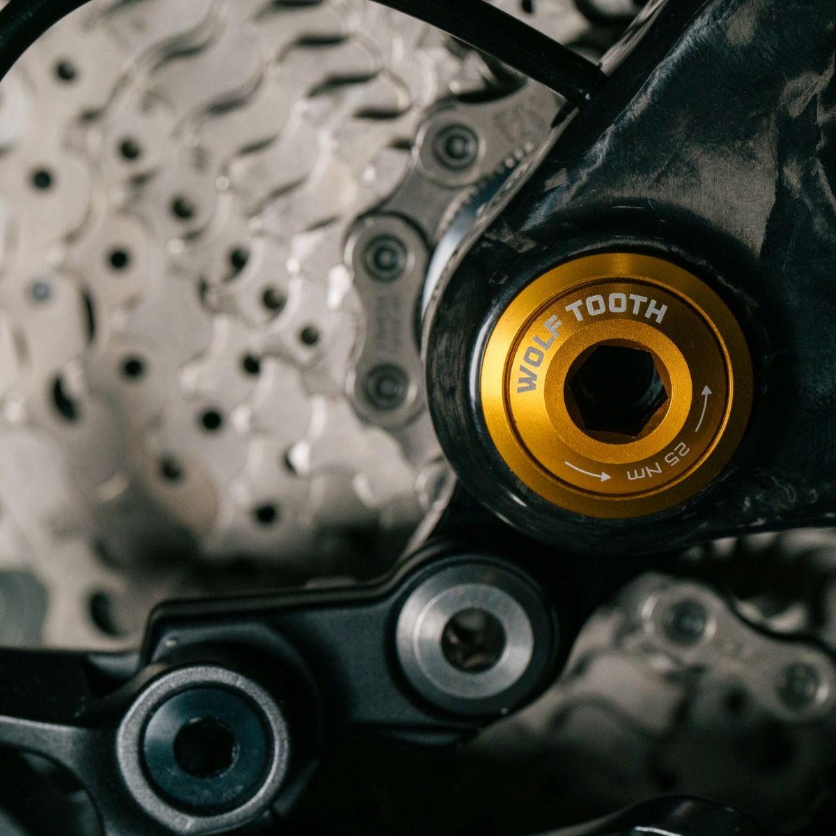 Wolf Tooth Universal Derailleur Hanger UDH