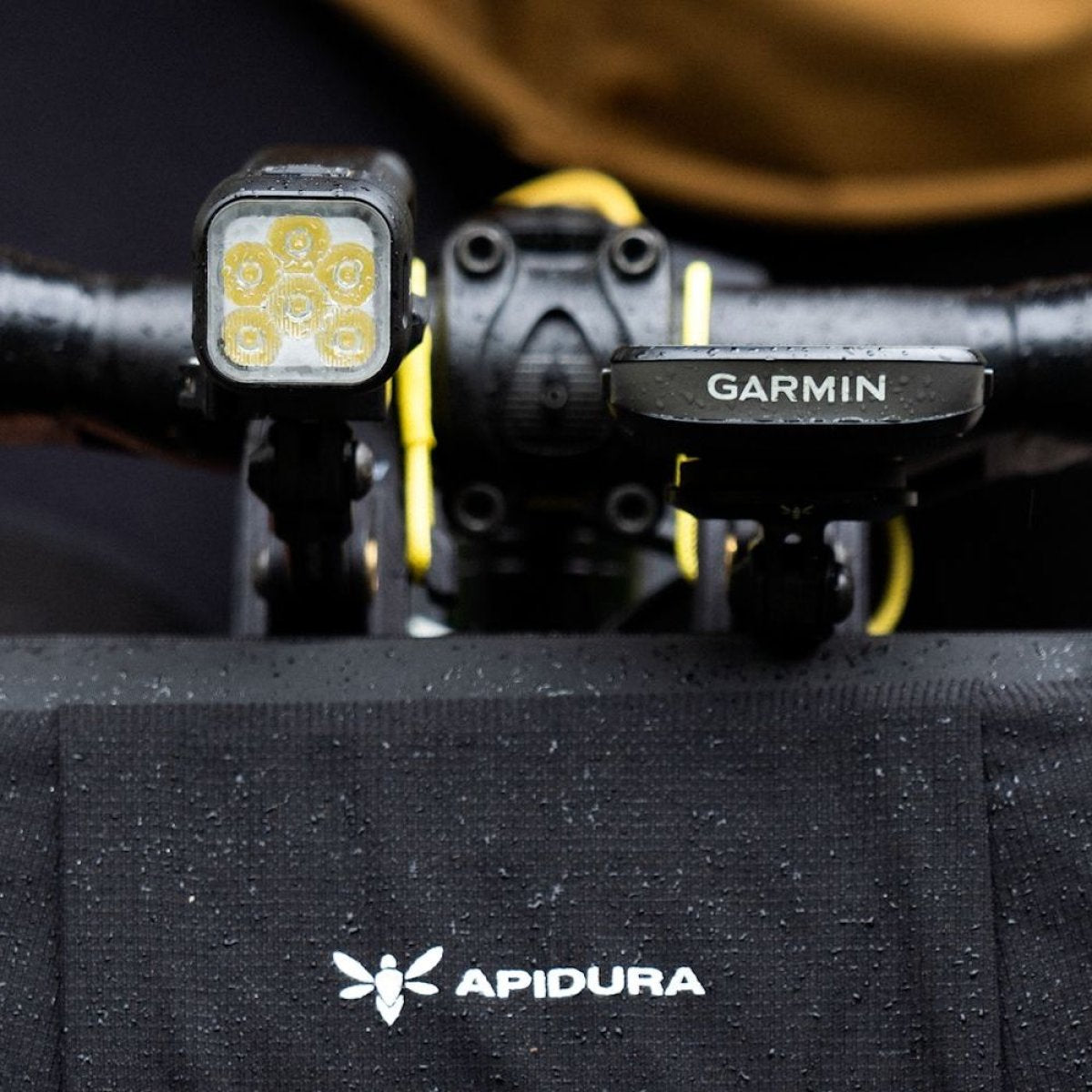 Apidura