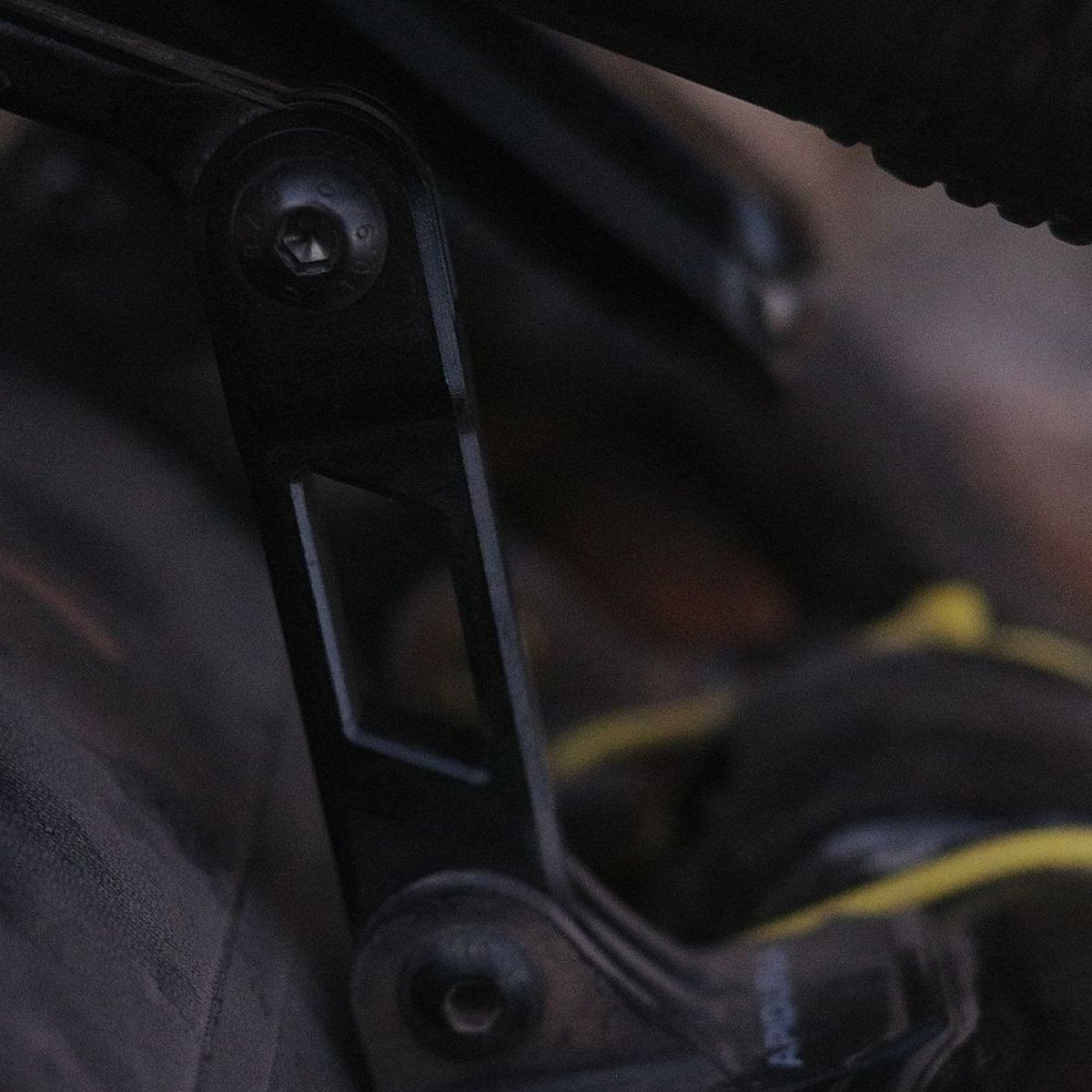 Apidura