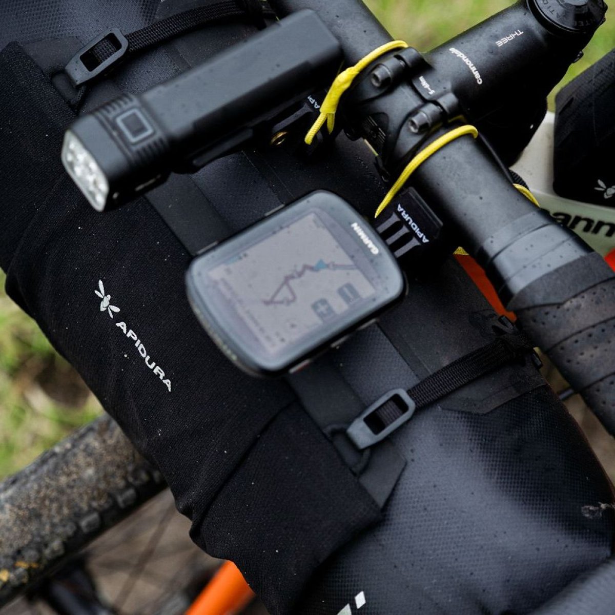 Apidura