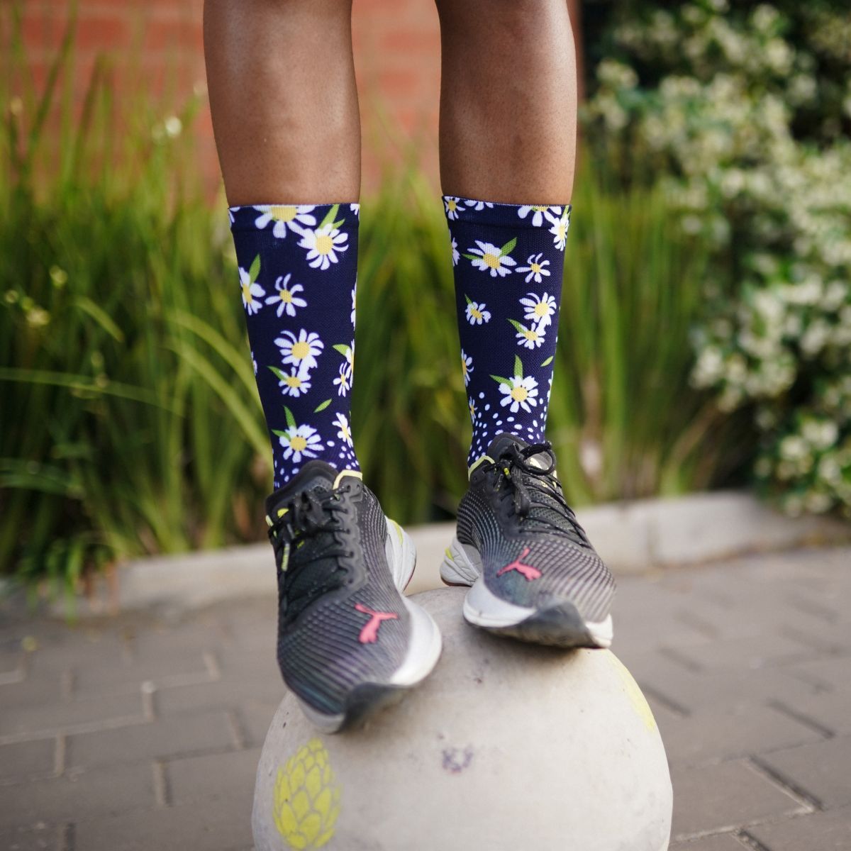 SOX FOOTWEAR - DAISY CREW SOCKS