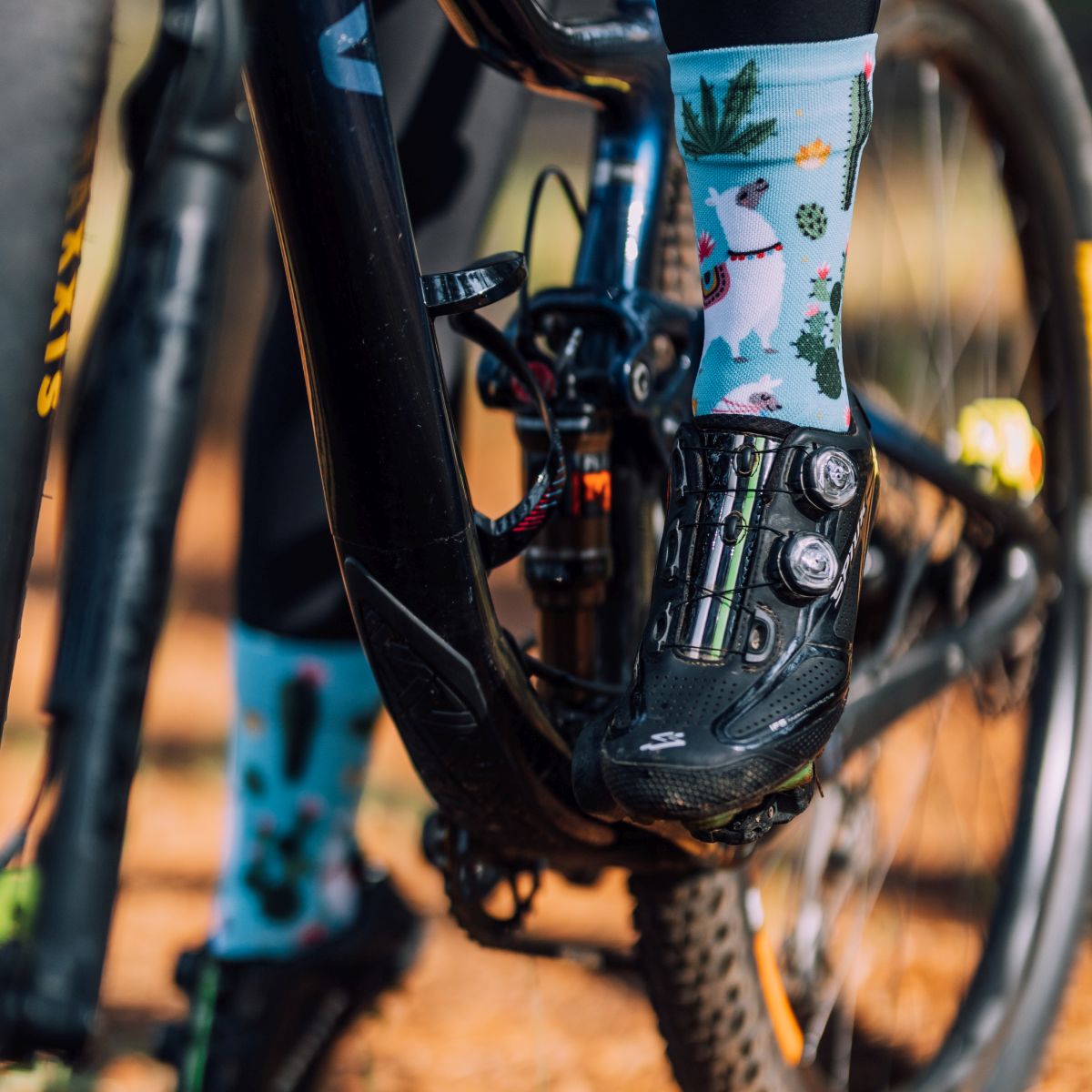 SOX FOOTWEAR - LLAMA CREW SOCKS