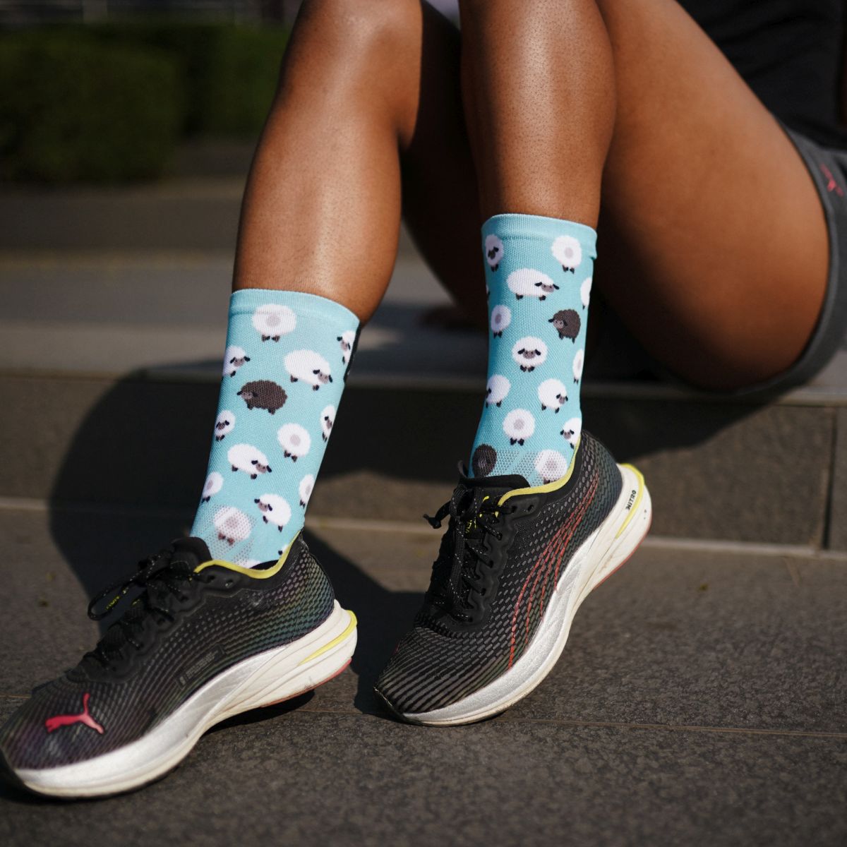 SOX FOOTWEAR - SHEEP CREW SOCKS