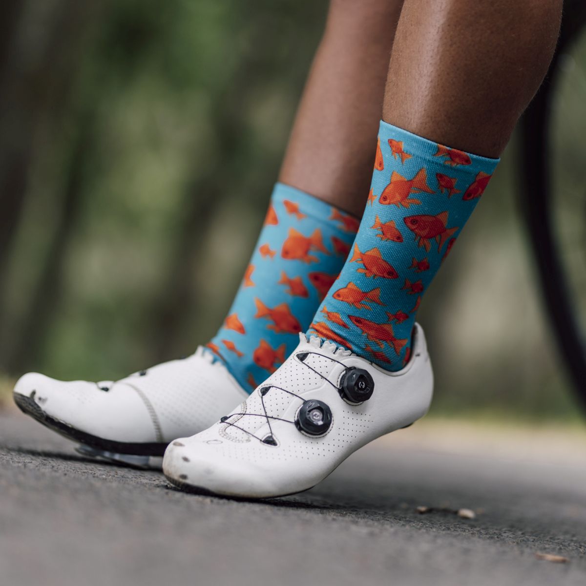SOX FOOTWEAR - GOLDFISH CREW SOCKS
