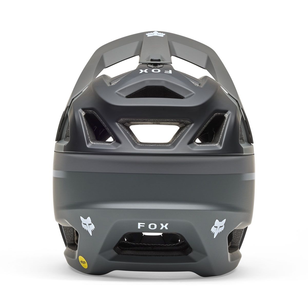Fox Proframe Rizer Helmet - CE