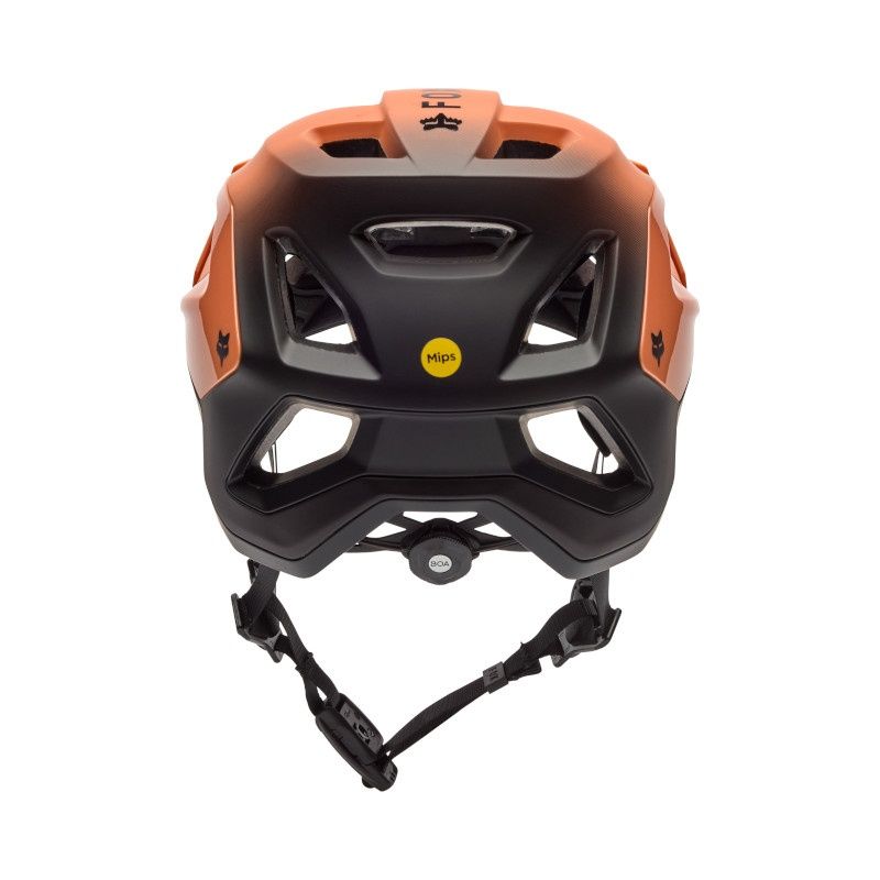 Speedframe Pro Backfade - CE