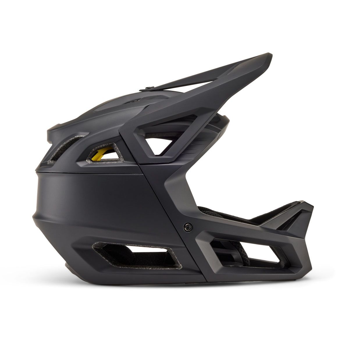 Proframe Helmet - CE