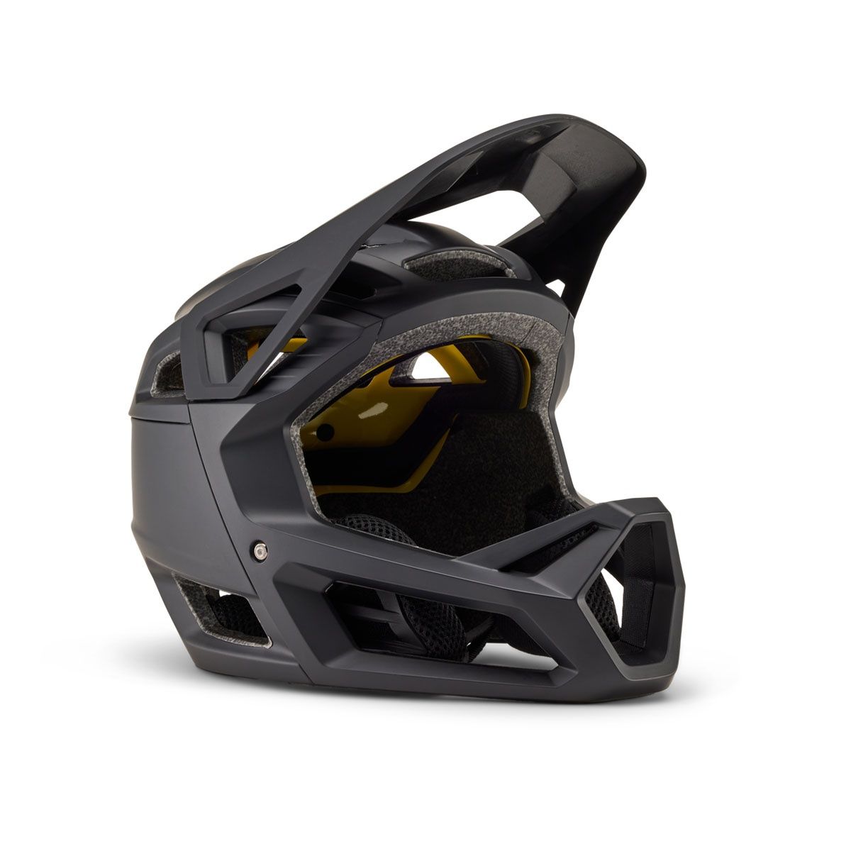 Proframe Helmet - CE