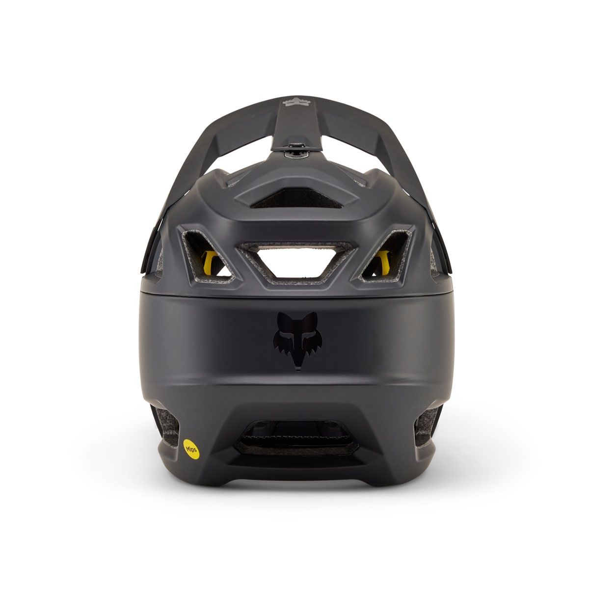 Proframe Helmet - CE