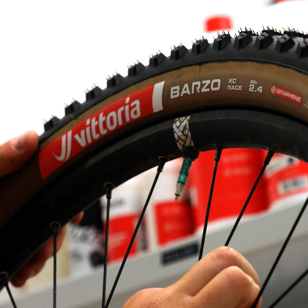 08-barzo-xc-race-set-up