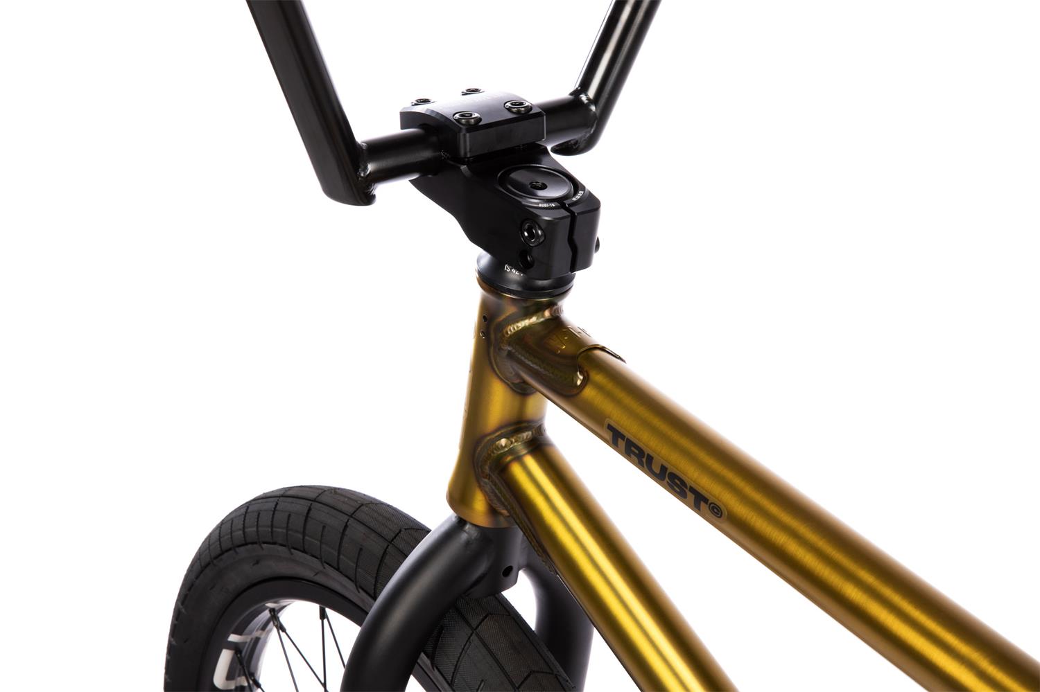 Wethepeople Trust CS 21TT Gold 13