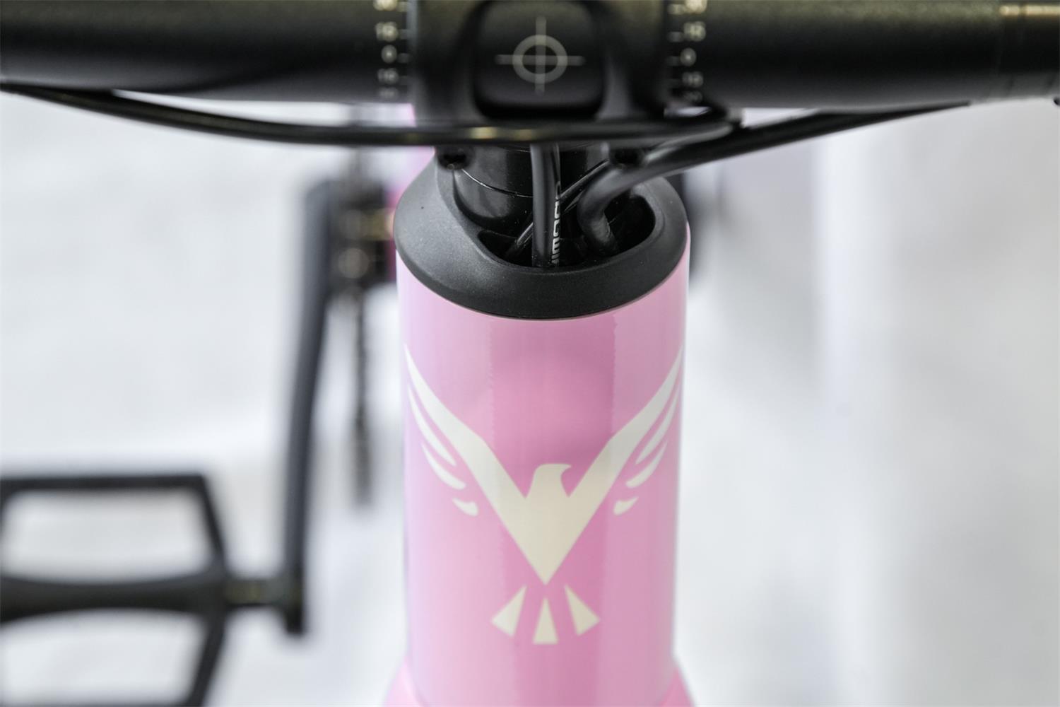 Protege Fastrace 24 Kids Road Bike - Pink_10
