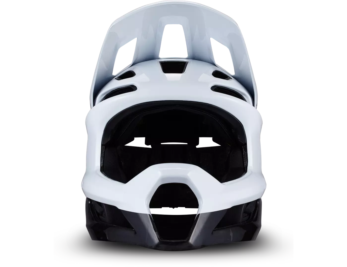 Specialized Gambit DH Helmet