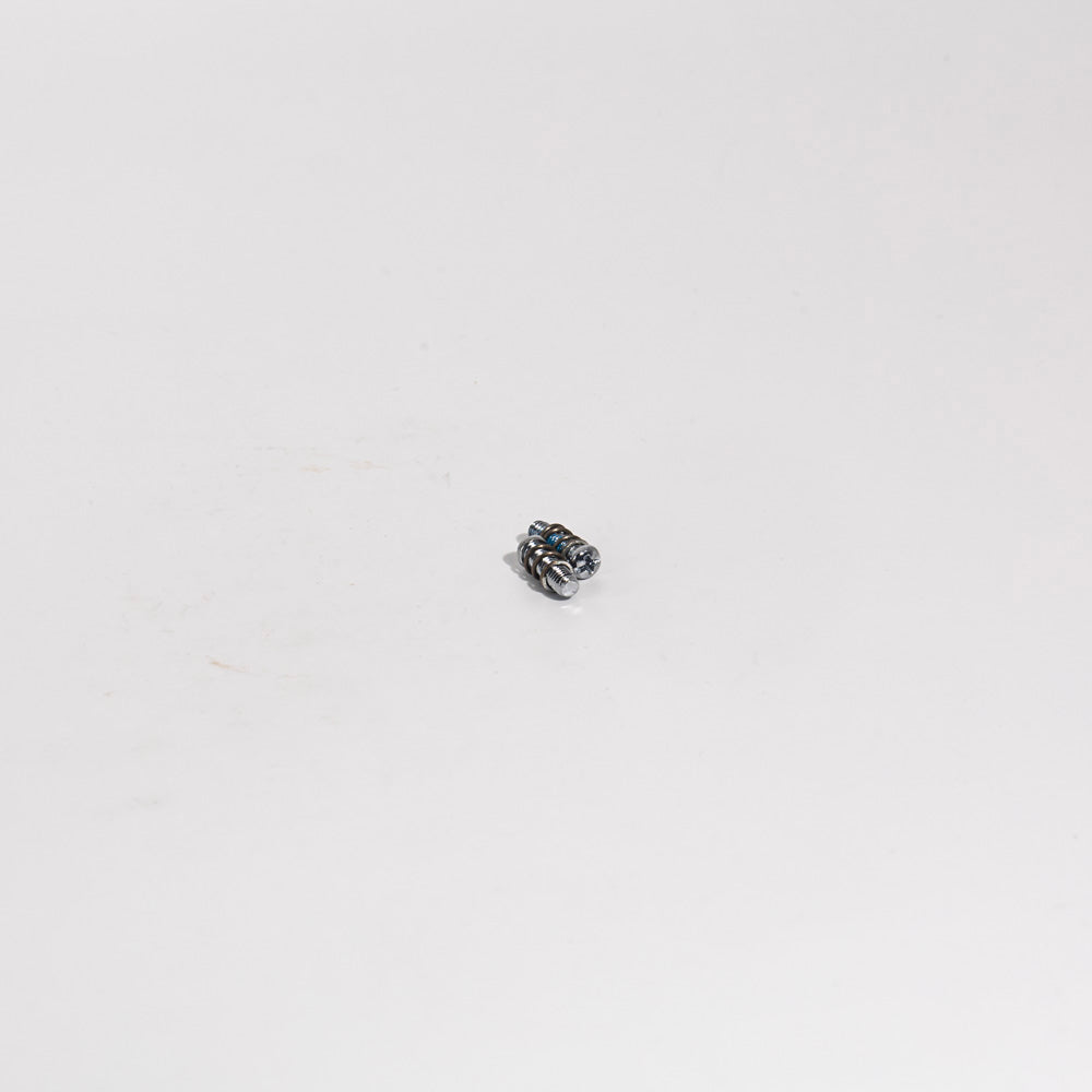 Campagnolo Rear Derailleur High and Low Limit Adjustment Screws and Springs RD-SR010