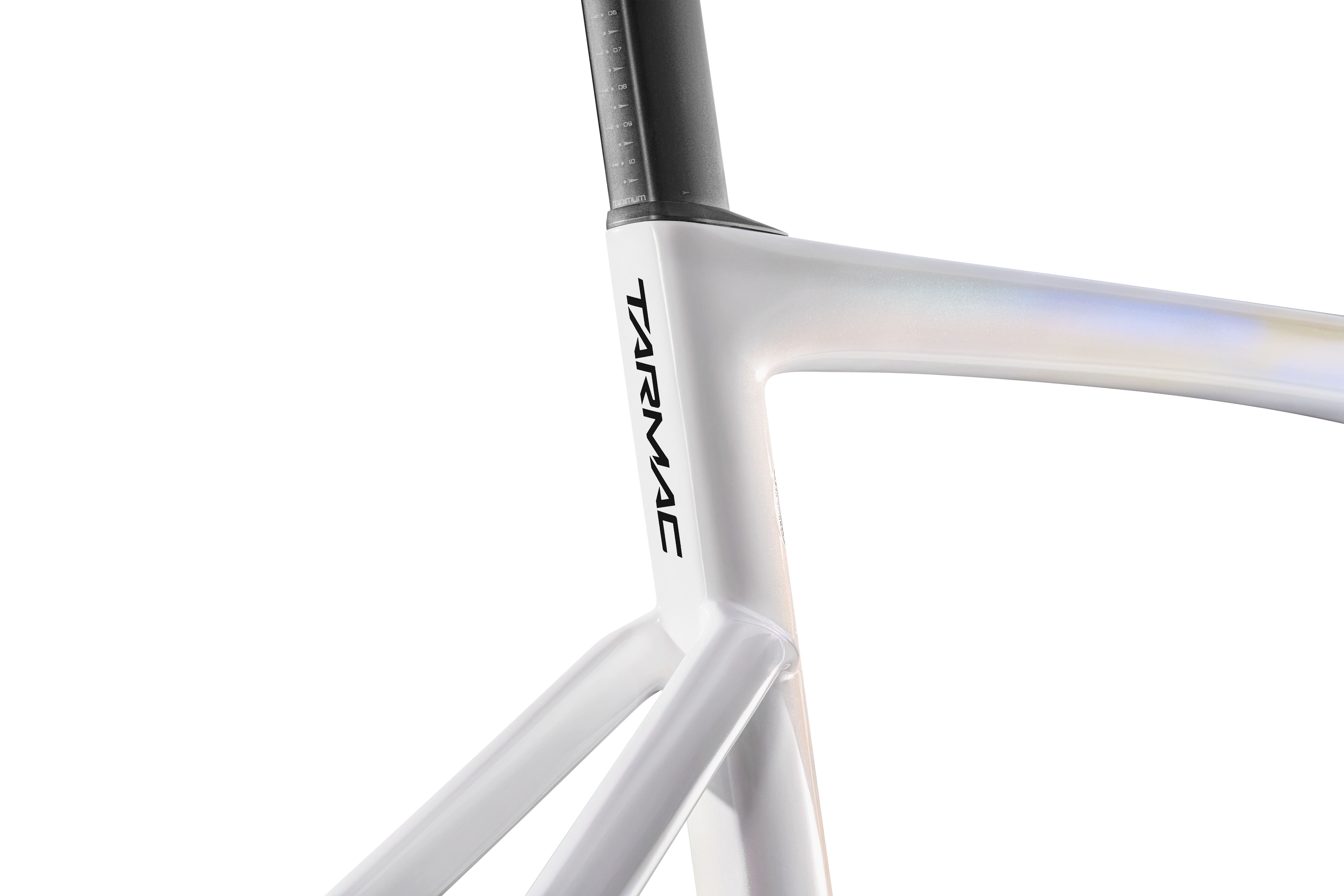 Specialized Remco's Reign Celebration Tarmac Frameset