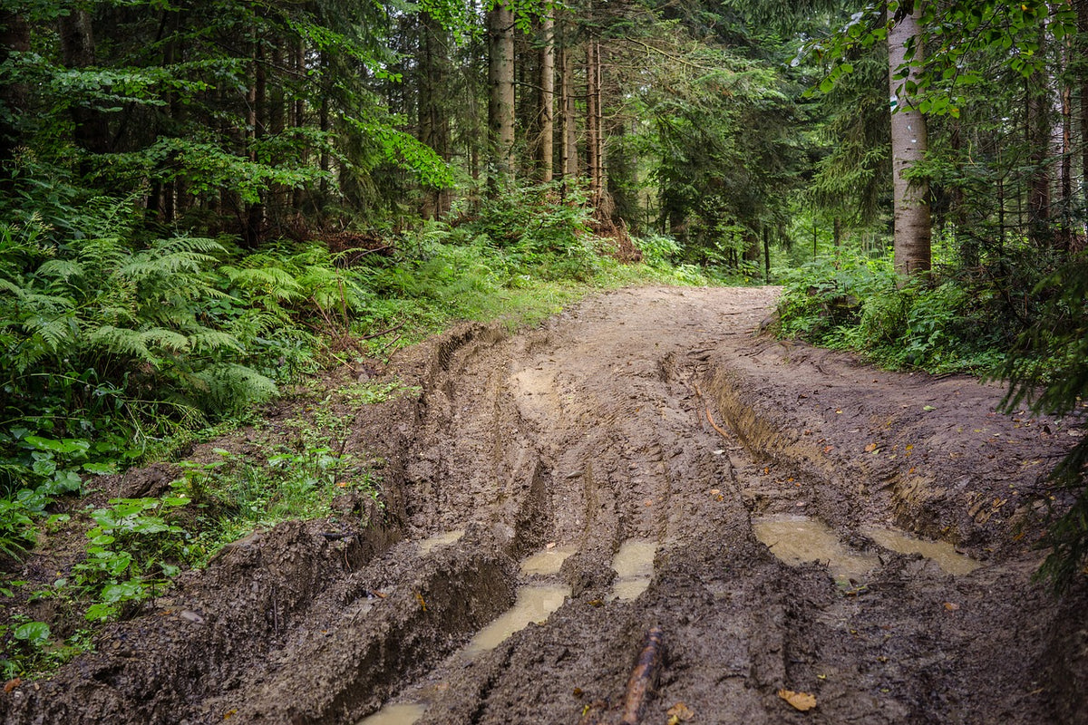 mud MTB