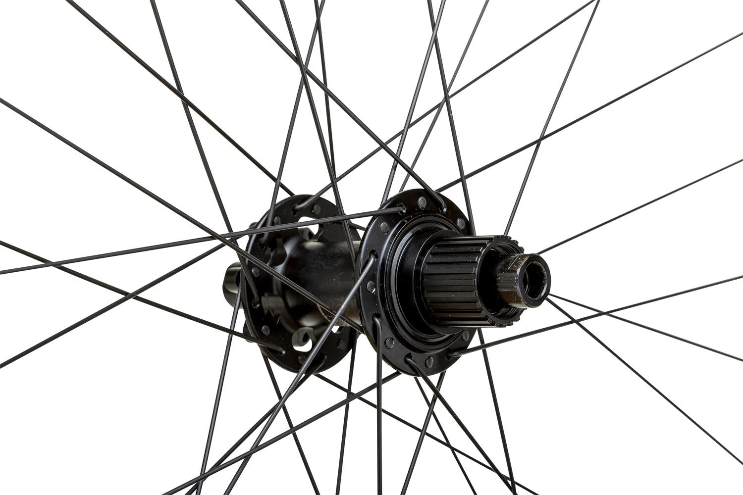 Proterra_Tough_i30_7