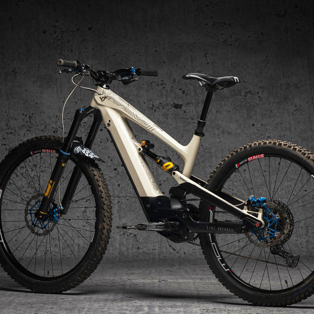 Dyedbro Ebike Frame Protection Stayfree