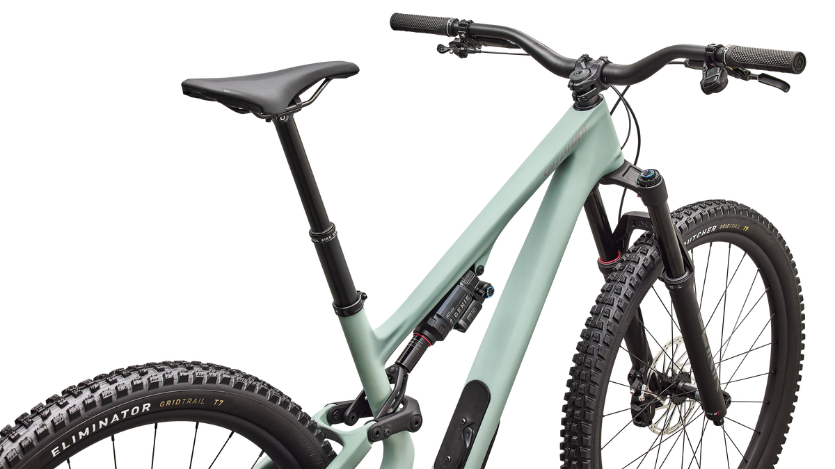 Specialized Stumpjumper 15 EVO Expert