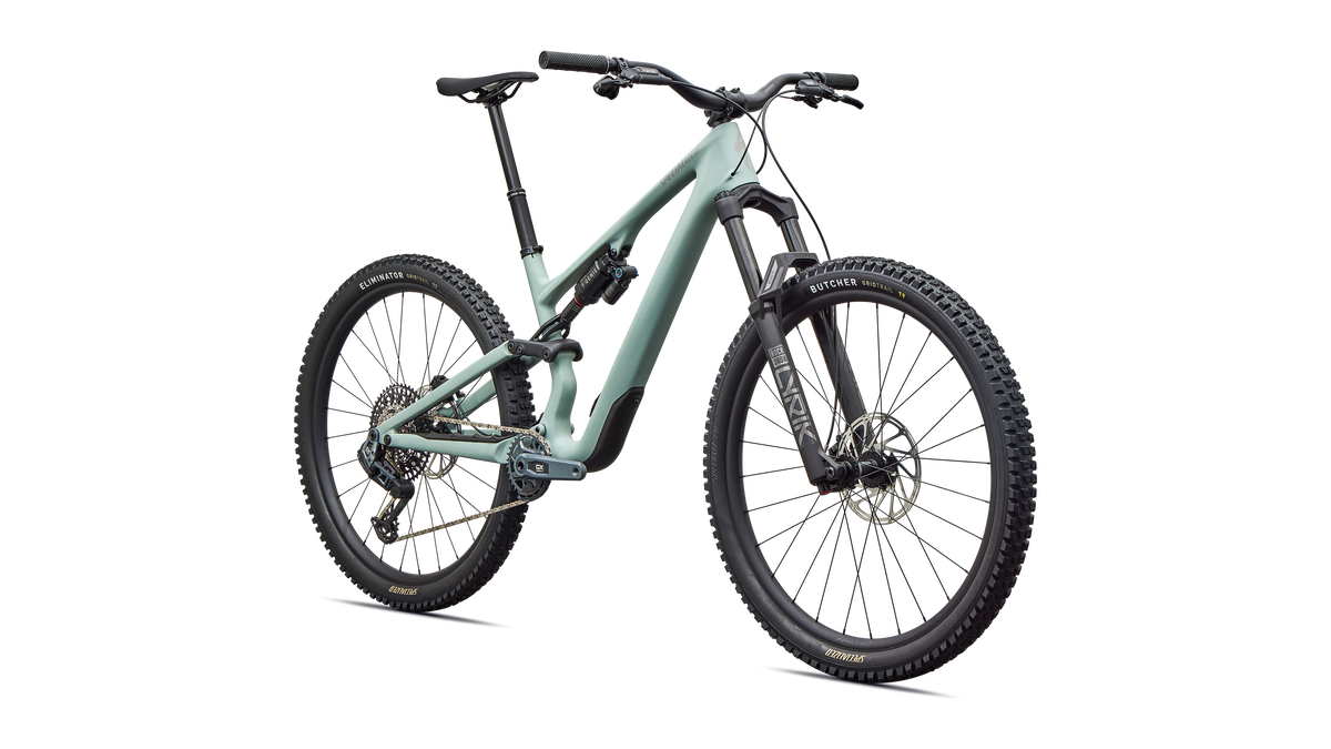 Specialized Stumpjumper 15 EVO Expert