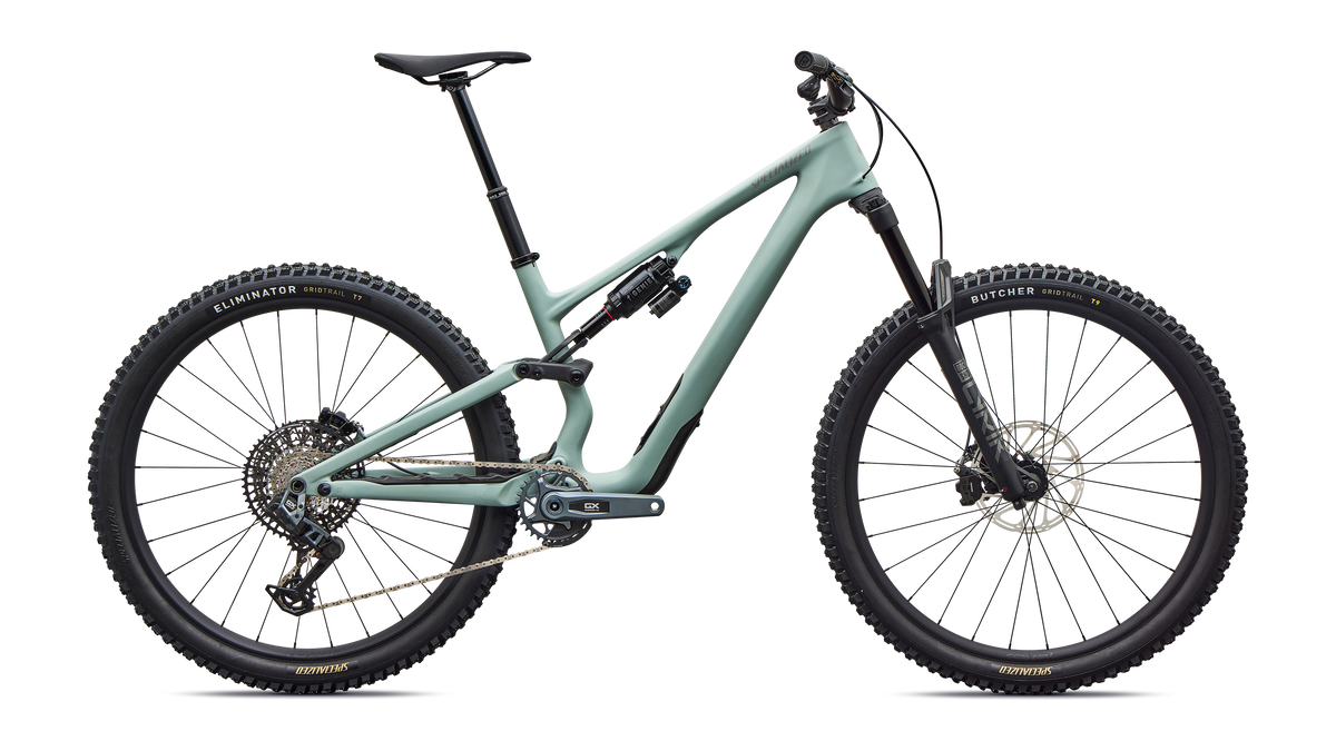 Specialized Stumpjumper 15 EVO Expert