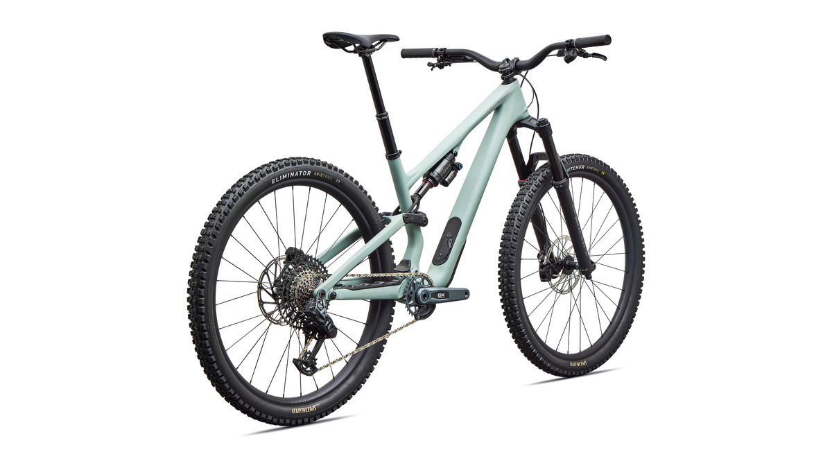 Specialized Stumpjumper 15 EVO Expert