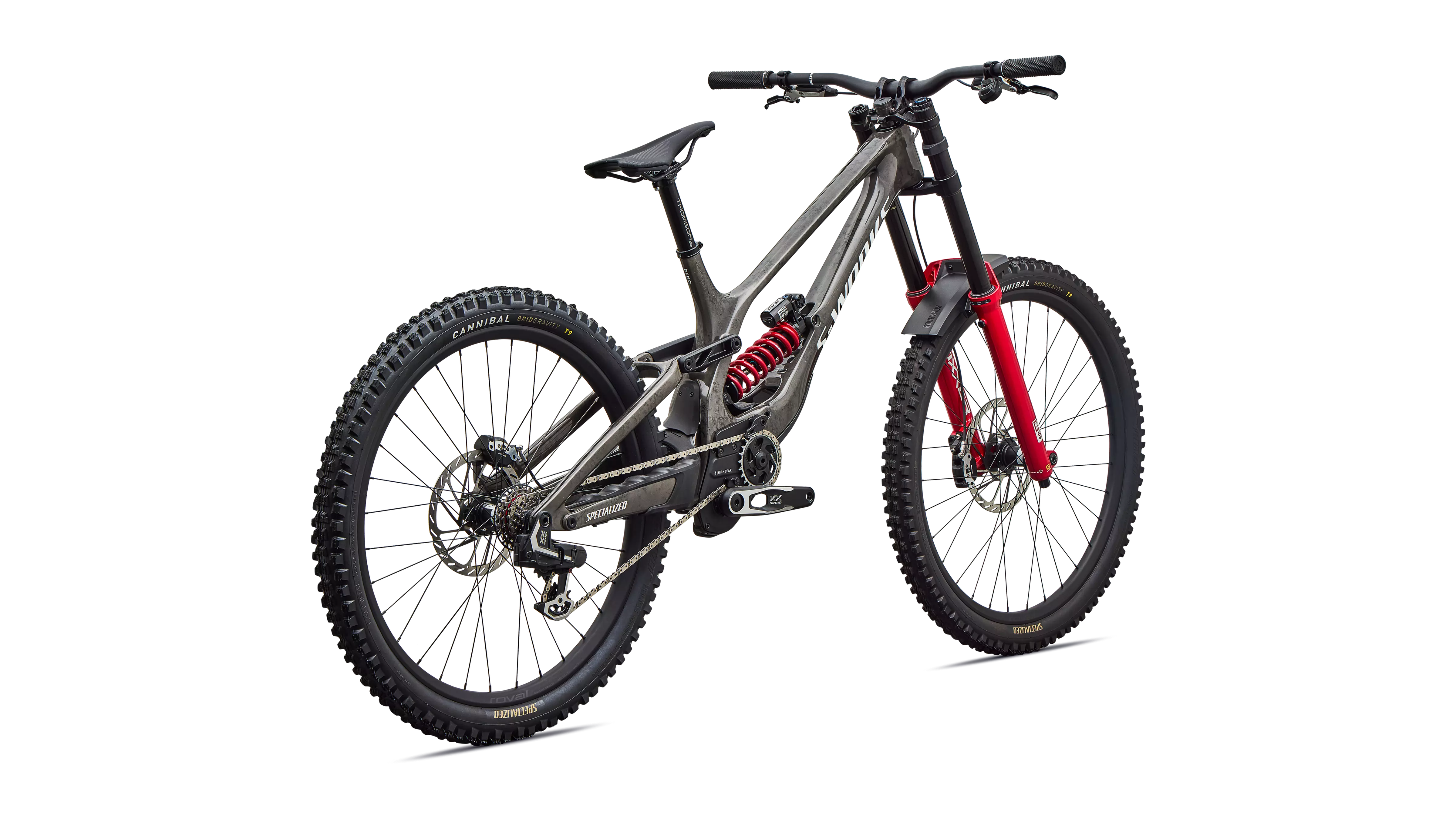 Specialized S-Works Demo 11