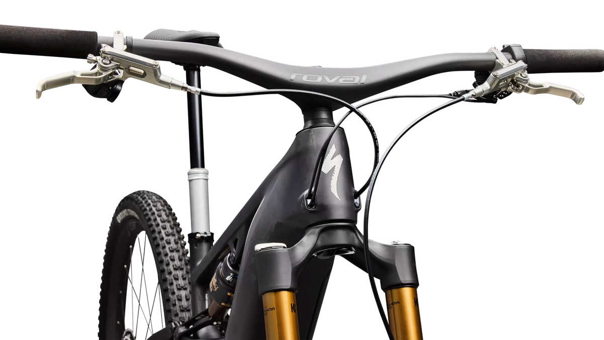 Specialized S-Works Turbo Levo R Ultralight