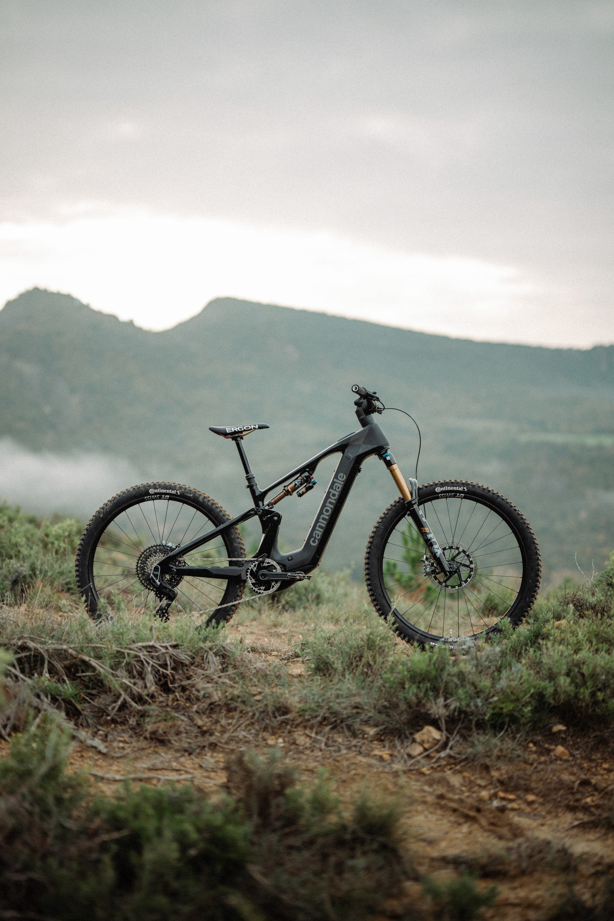 Cannondale Moterra 2 Matte Black