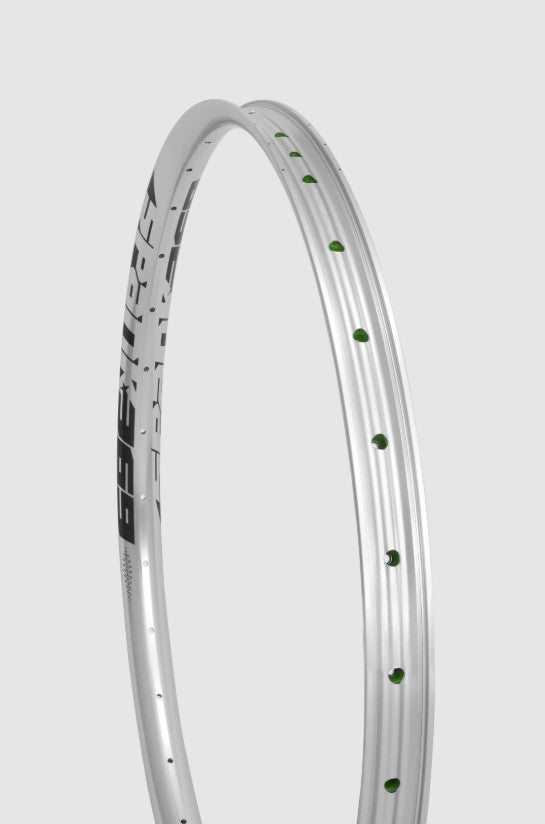 SI-RR71-VC-SILVER(2)
