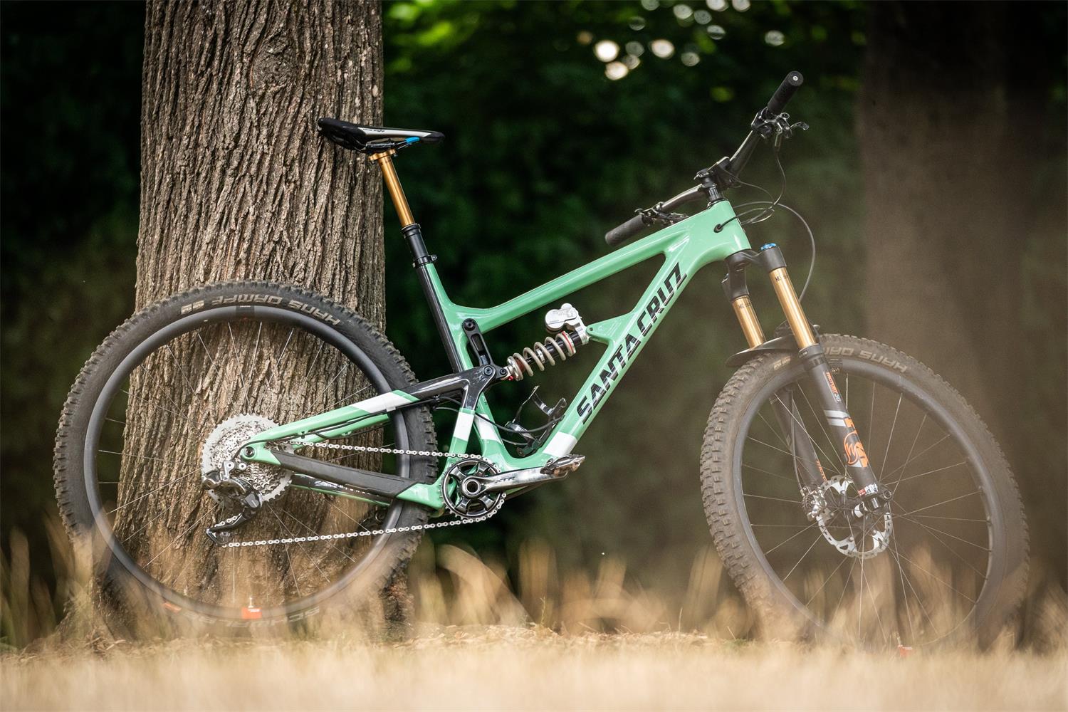 PDW Suspension Fork fender 5