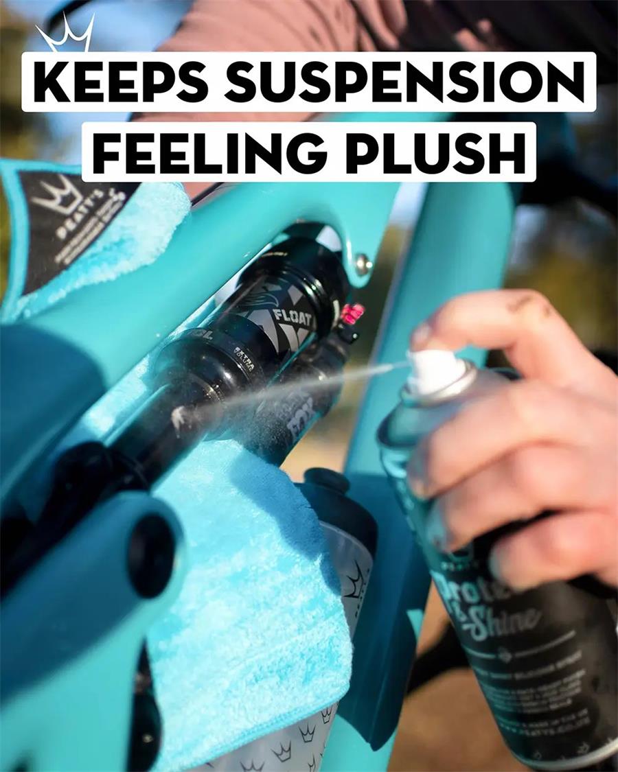 Protect___Shine_Spray_3