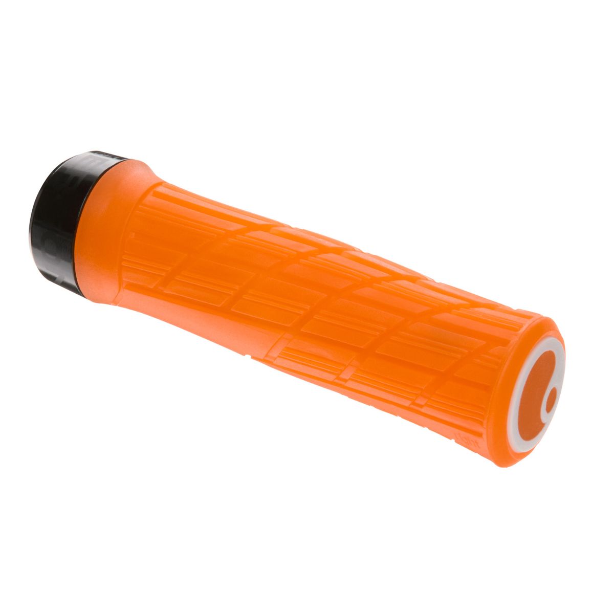 Ergon GE1 Evo Factory Grips