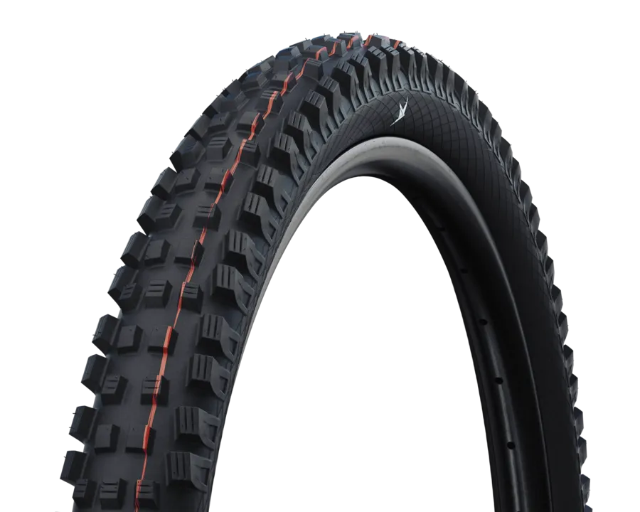 Schwalbe Magic Mary Radial Tyre